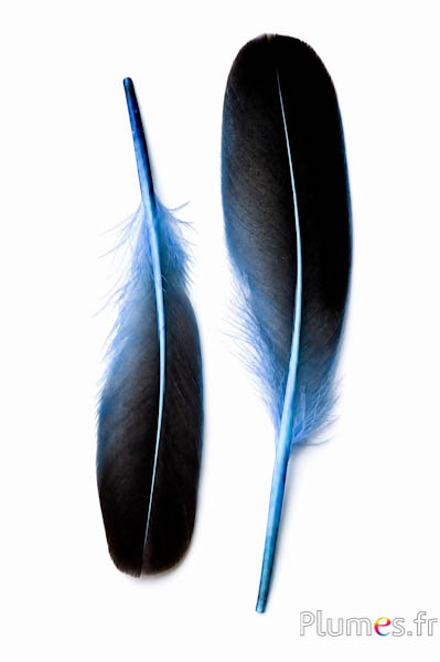Ente - 18-20 cm, links und rechts - himmelblau-schwarz 